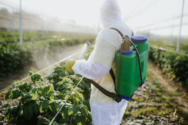 Seasonal Pest Control in Manchester Center, VT